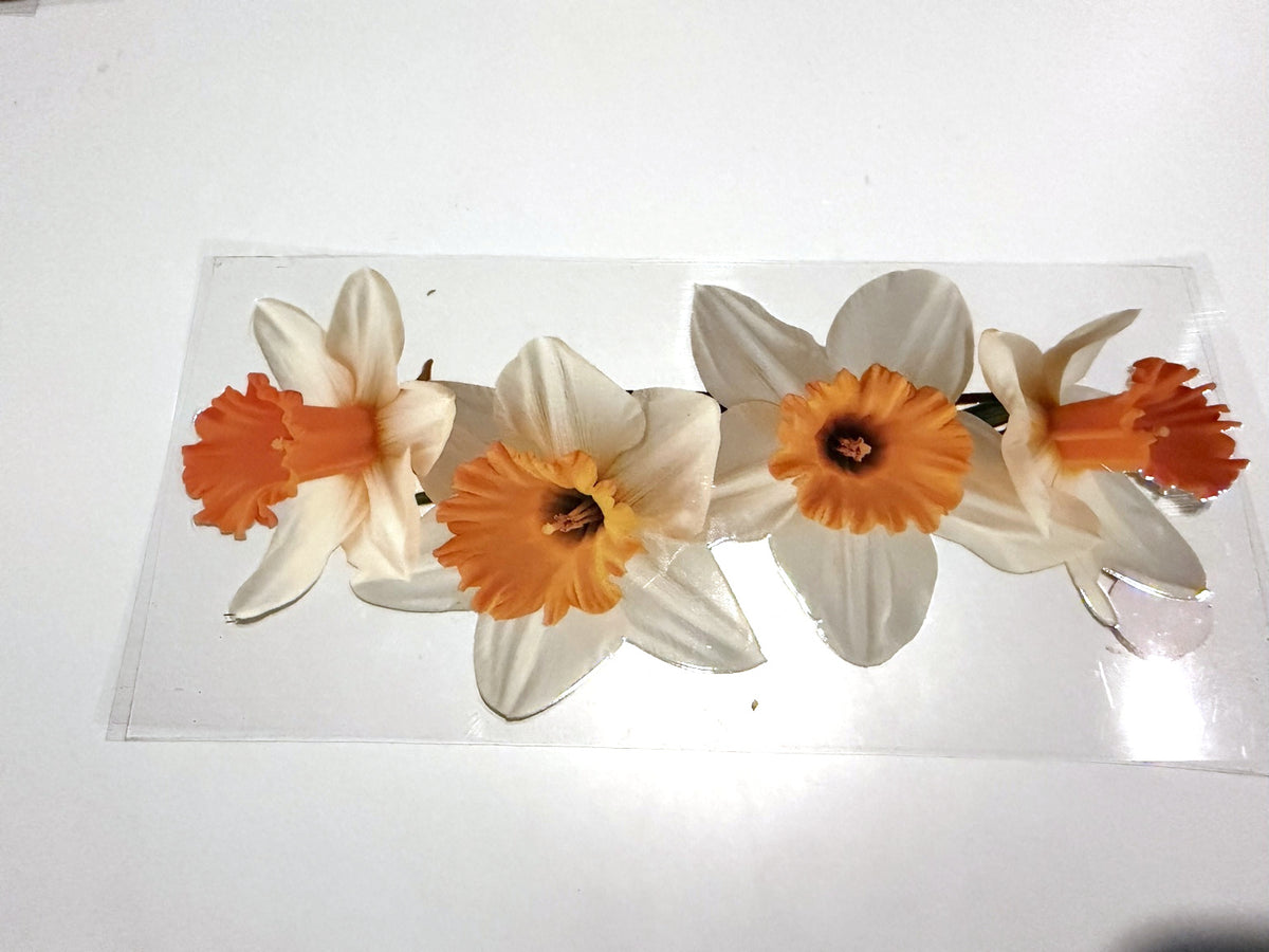 White & Orange Daffodils UV DTF transfer sheet, upright view