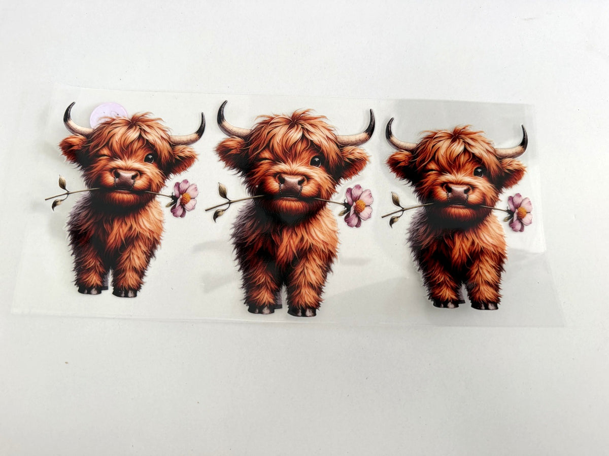 Shaggy Highland Cow Trio & Small Flowers